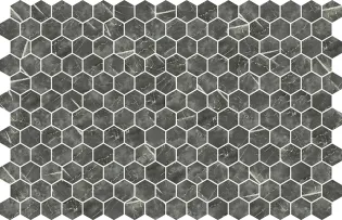 Hexa Armonia