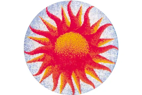 D 22